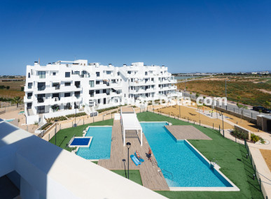 ground-floor - Nueva construcción  - Santa Rosalía - Santa Rosalía