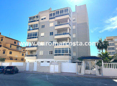 ground-floor - Nueva construcción  - Torrevieja - TORREVIEJA