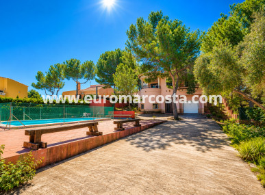 Haus - Objekte zum Wiederverkauf - San Miguel de Salinas - San Miguel de Salinas
