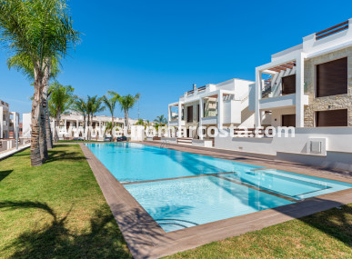 high-bungalow - Nueva construcción  - Torrevieja - TORREVIEJA