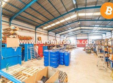 Industrial unit - Sale - Pilar de la Horadada - Pilar de la Horadada