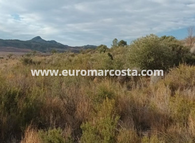 Land - Objekte zum Wiederverkauf - Murcia - Murcia