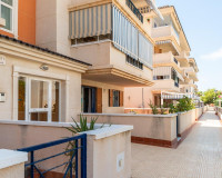Langzeitmiete - Wohnung - Torrevieja - La Mata