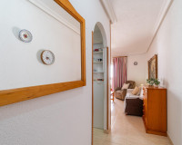 Long time Rental - Apartment / flat - Torrevieja - La Mata