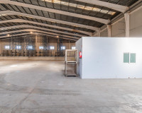 Long time Rental - Industrial unit - Pilar de la Horadada