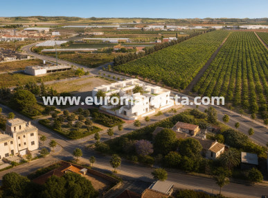 low-bungalow - New Build - Pilar de la Horadada - Pilar de la Horadada