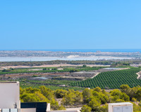 Neubauten - Bungalow - San Miguel de Salinas