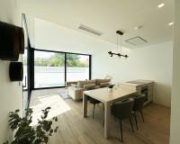 Neubauten - detached - Torre de la Horadada