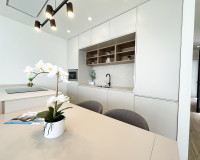 Neubauten - detached - Torre de la Horadada