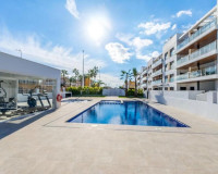 Neubauten - Penthouse - Torrevieja - TORREVIEJA