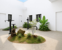 Neubauten - Penthouse - Torrevieja - TORREVIEJA