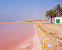 Neubauten - terraced - San Pedro del Pinatar - San Pedro de Pinatar