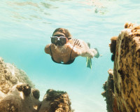 Neubauten - Wohnung - La Manga del Mar Menor