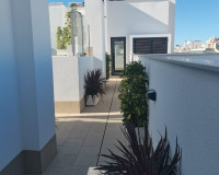 Neubauten - Wohnung - Torrevieja - TORREVIEJA