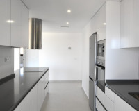 New Build - Apartment / flat - San Miguel de Salinas