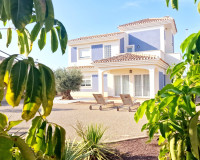 New Build - detached - Lorca - Purias