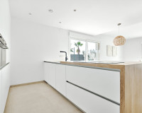 New Build - detached - Los Montesinos