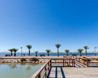 New Build - detached - Pilar de la Horadada