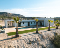 New Build - detached - Pinoso