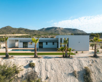 New Build - detached - Pinoso
