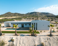 New Build - detached - Pinoso