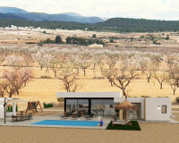 New Build - detached - Pinoso