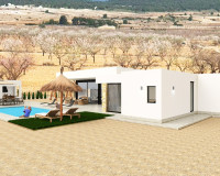 New Build - detached - Pinoso