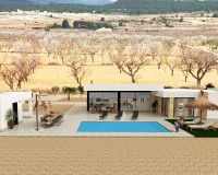 New Build - detached - Pinoso
