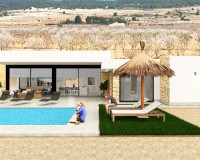New Build - detached - Pinoso