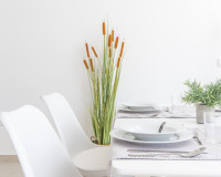 New Build - detached - San Javier - Murcia