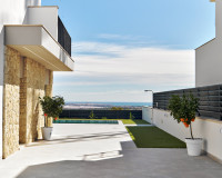New Build - detached - San Miguel de Salinas