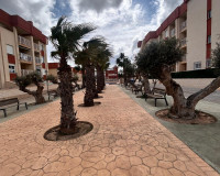 New Build - ground-floor - Orihuela Costa