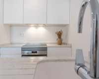 New Build - ground-floor - Playa Flamenca