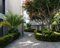 New Build - ground-floor - Santa Rosalía