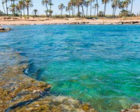 New Build - ground-floor - Torrevieja - TORREVIEJA