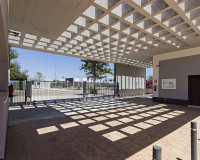 New Build - ground-floor - Vergel - Vera