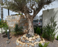 New Build - low-bungalow - Torrevieja - TORREVIEJA