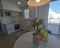 New Build - Penthouse - Torrevieja - TORREVIEJA