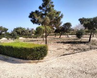 New Build - Villa - Los Montesinos