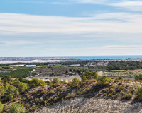 New Build - Villa - San Miguel de Salinas