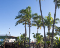 New Build - Villa - San Pedro del Pinatar - San Pedro de Pinatar