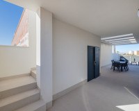 New Build - Villa - Torrevieja - TORREVIEJA