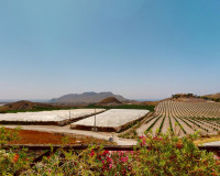 Nueva construcción  - detached - Águilas