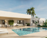 Nueva construcción  - detached - Aspe