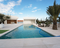 Nueva construcción  - detached - Benejúzar