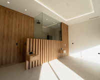 Nueva construcción  - detached - Benejúzar