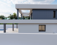 Nueva construcción  - detached - Ciudad Quesada