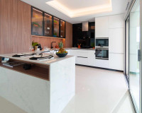 Nueva construcción  - detached - Ciudad Quesada