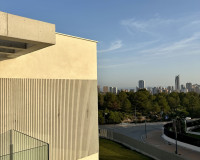 Nueva construcción  - detached - Finestrat