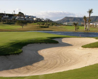 Nueva construcción  - detached - Peraleja Golf